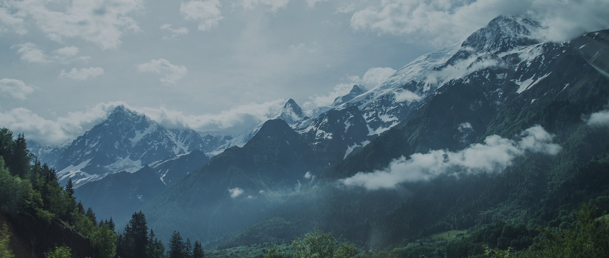 plaiulmeuviseudesus.eu